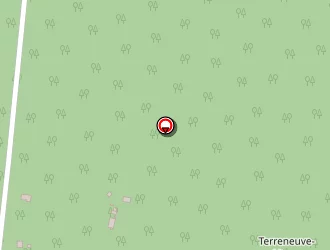 Carte de Conseil Dominique à Barp (le)