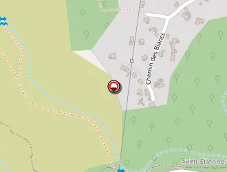 Carte de Sebille Pascal à Saint-sernin