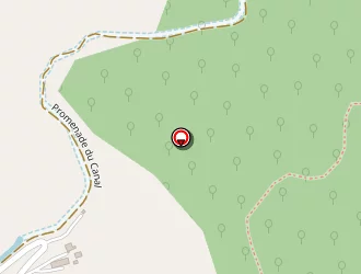 Carte de La Coulée De Miel à Gap