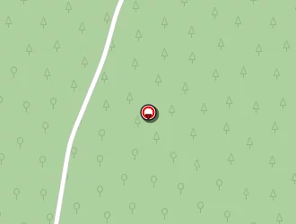 Carte de Auger Patricia à Mios