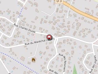 Carte de Bagat Bruno à Mios