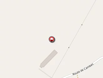 Carte de Kingham Antony à Puysserampion