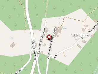 Carte de Vigne Richard à Ailhon