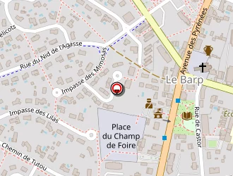 Carte de Camin Roumieu à Barp (le)