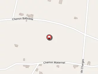 Carte de Green Tendance à Savasse