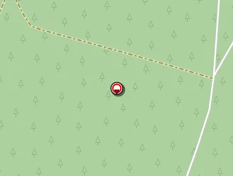 Carte de Lacave-bouché Corinne à Mios