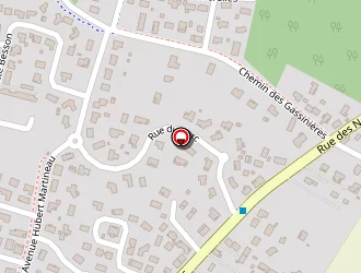 Carte de Sancier Services à Mios