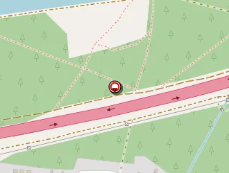 Carte de Faget Nicolas à Teich (le)