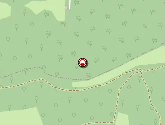 Carte de Levasseur Rémi à Saint-cernin