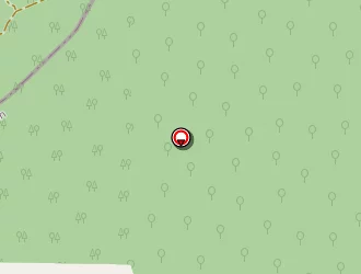 Carte de Souleillou Joël à Saint-caprais