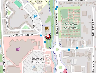 Carte de Garage Salaun à Gujan-mestras