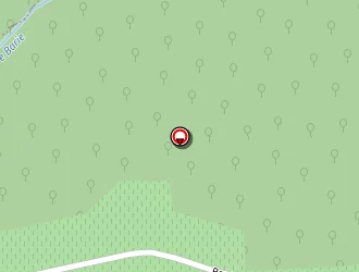 Carte de Larrue Régis à Semens