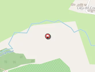 Carte de Vanlancker Marjolaine à Morizès