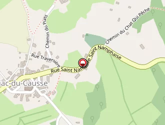 Carte de Toudic Ralph à Caniac-du-causse