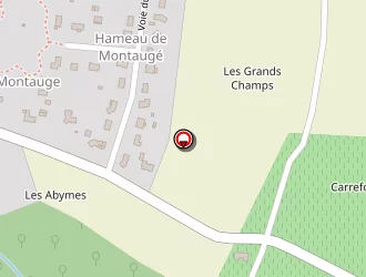 Carte de Manzato à Bagas