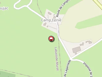 Carte de Pons Jean-claude à Soulomès