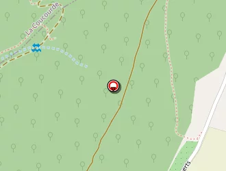 Carte de R.p.i à Savasse