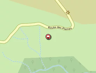 Carte de Leynaud Alain à Souche (la)