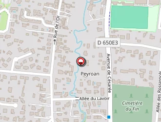 Carte de Les Pizzas De Césarée à Gujan-mestras