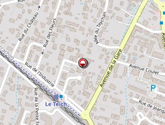 Carte de Caillieux Patrick à Teich (le)