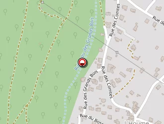 Carte de Lecomte Mathias à Saint-privat