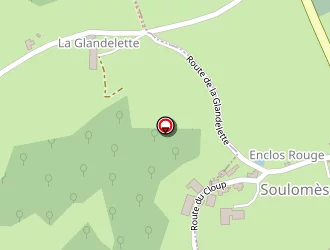 Carte de Delvit Christian à Soulomès