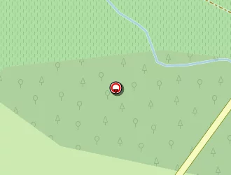 Carte de Mercés José à Saint-morillon