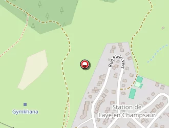 Carte de Terrier Moïse à Laye