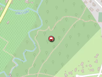 Carte de Paradis Blanc à Saint-morillon