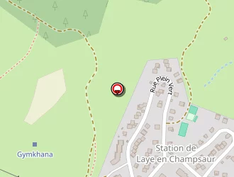 Carte de Restaurant Le Petit Renard à Laye