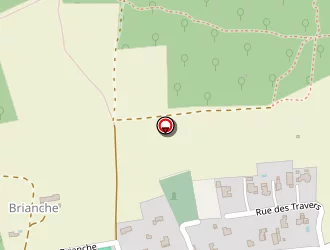 Carte de Reynaud Sandrine à Saou