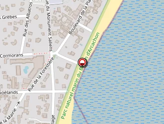 Carte de Actif à Lège-cap-ferret