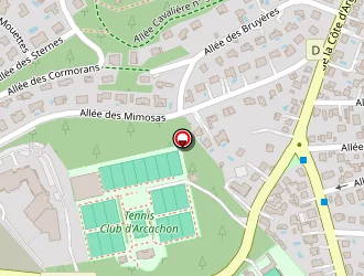 Carte de Leys Henry à Arcachon