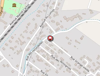 Carte de Martinez à Cruas