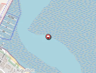 Carte de Dominguez Michel à Arcachon