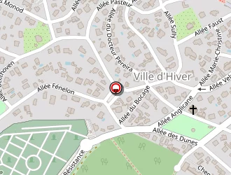 Carte de Corbeaux Christine à Arcachon