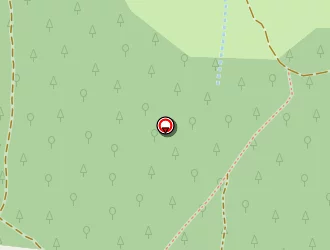 Carte de Taxi Serna à Roynac