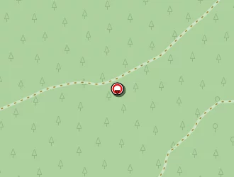 Carte de Cargo Shop à Mios