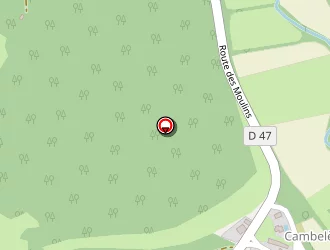 Carte de Gaillon Robert à Salviac