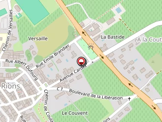 Carte de Mizzi Bernard à Rions