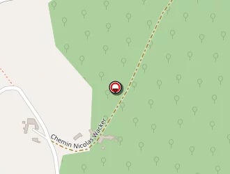 Carte de Paterson James à Marminiac