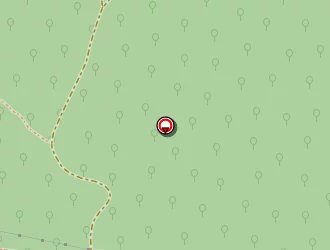 Carte de Morin Bernard à Laguiole