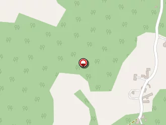 Carte de Cournac Bernard à Salviac