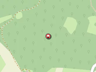 Carte de Contios Jérôme à Dégagnac