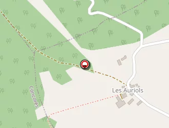 Carte de Pradel Jean-claude à Saint-chamarand