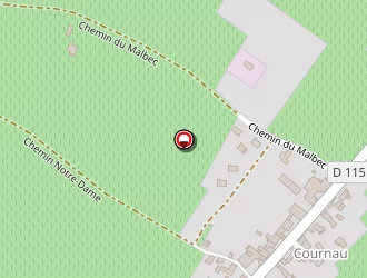 Carte de Peyrille David à Portets