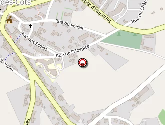 Carte de Teyssedre Autocars à Saint-amans-des-cots