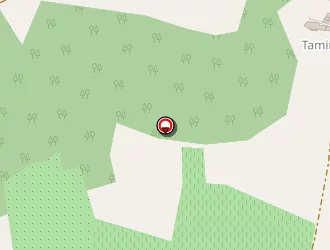 Carte de Blancheton Francis à Duras