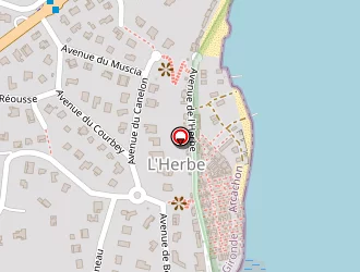 Carte de Ducasse Patrick à Lège-cap-ferret