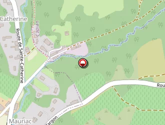 Carte de Dassain Francis à Paillet